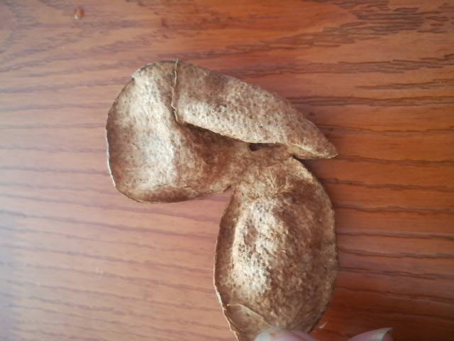 1588664646848166.jpg 85ab26bc8415d448b925ae4413a9255.jpg