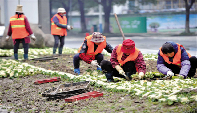 1588923384198983.jpg 緑化.jpg