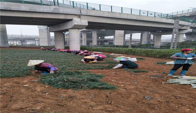 1588923431313343.jpg 62ebe2109bf963e8ca039ad56af62ab.jpg