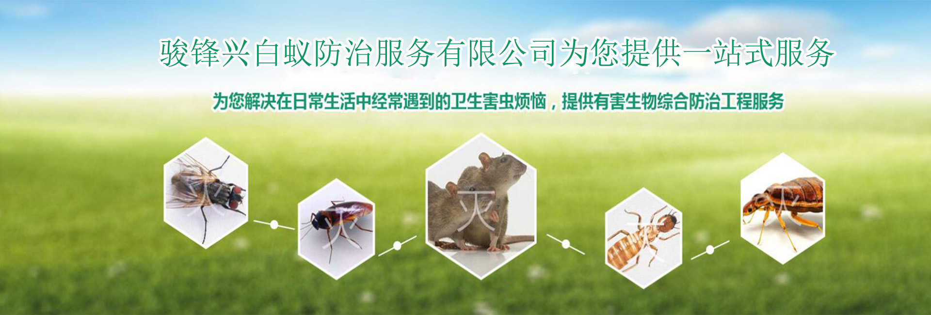 1588937906202554.jpg f0080c213522f3d7439e4245f85c0cd9.jpg