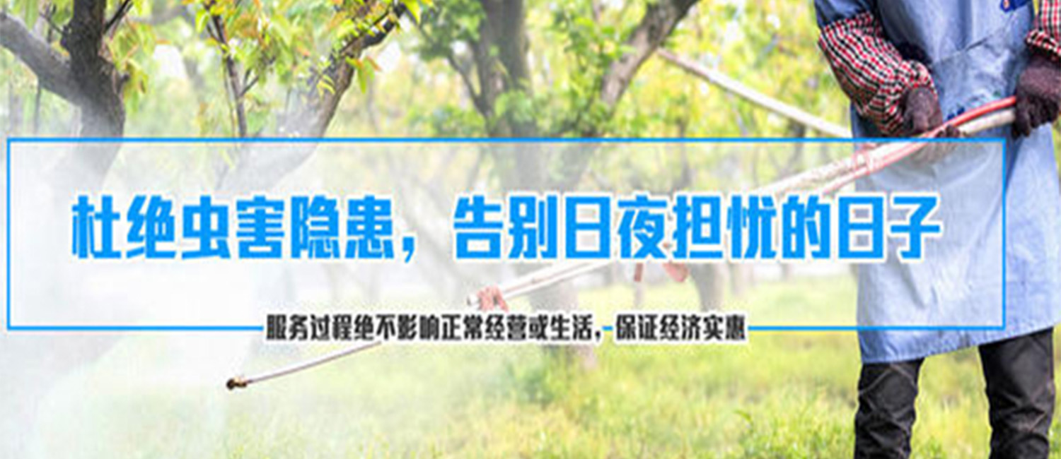 1588938506900057.jpg 123888.jpg