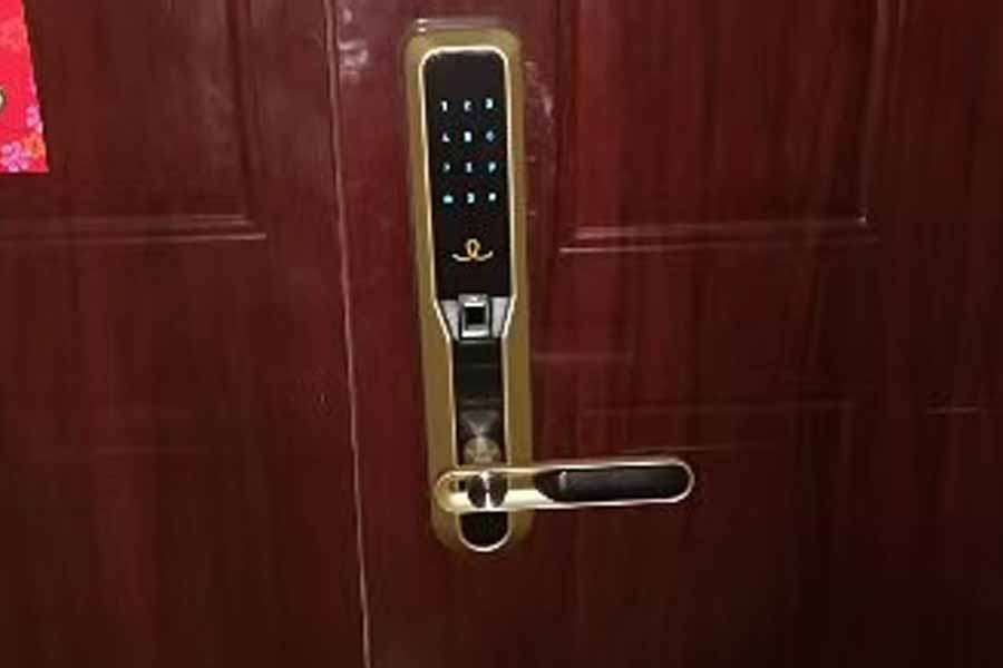 1592806296422469.jpg 7.jpg