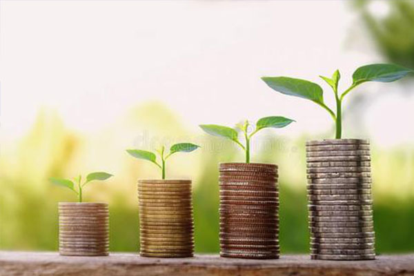 1596087401334119.jpg 600 3.jpg