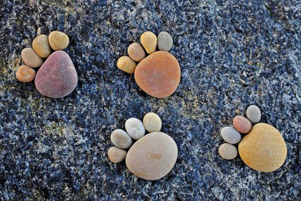 1598273411864726.jpg 7.jpg