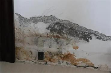 1685783466690039.jpg 微信截图_20230205143320.jpg