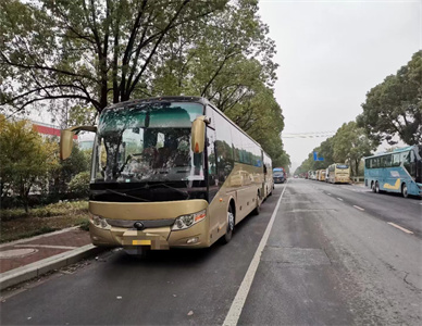 1698837310186842.jpg 3775598835fdd7985fc3115e1175bc0.jpg