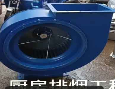 1763437699553681.jpg 25.jpg