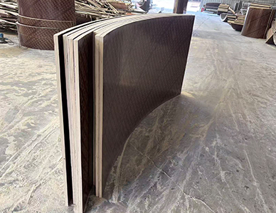 1764816502908778.jpg 9.jpg