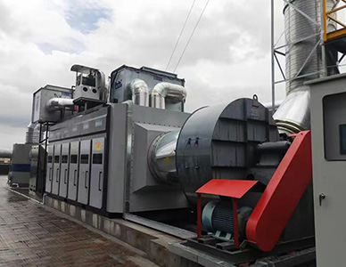 1764827153283633.jpg 15.jpg