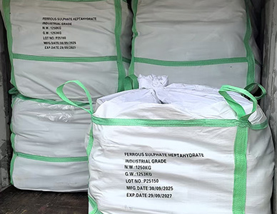 1767492941746978.jpg 6.jpg