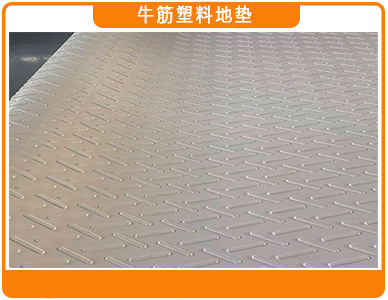 牛筋塑料地垫1.jpg