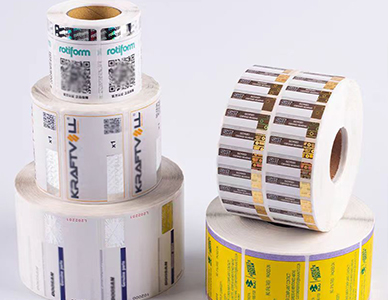 1769501834633578.jpg 444.jpg