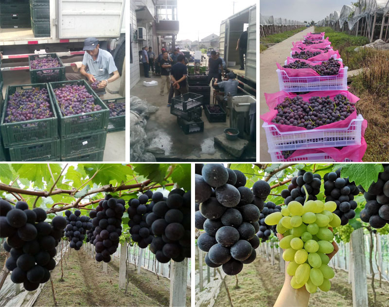 1589188883873295.jpg 222.jpg