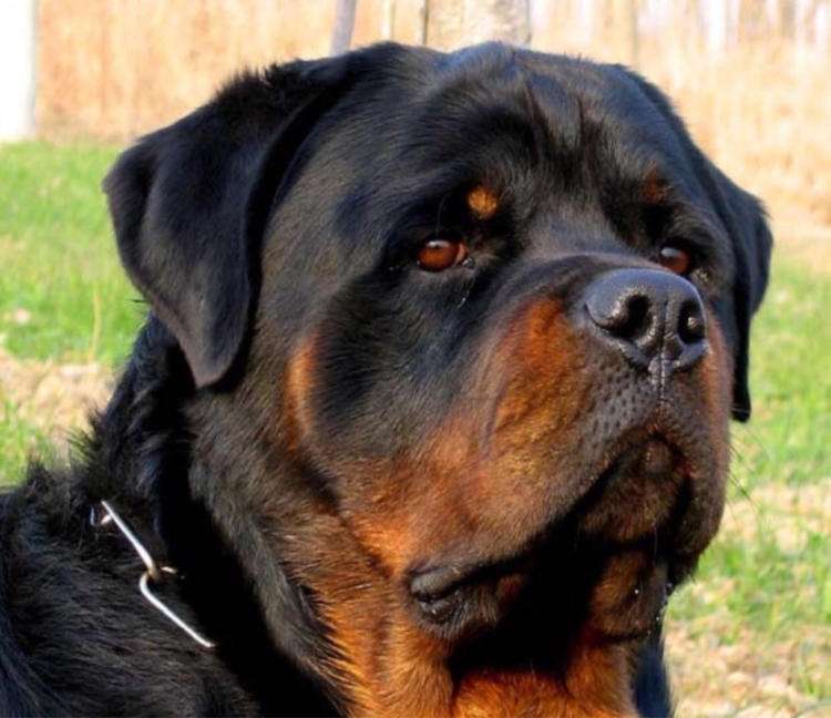 1551682969602186.jpg timg (1).jpg